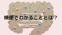 検便検査って何を調べているの？ 何の病気がわかるの？
