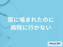 「猫に噛まれたのに病院へ行かない」のは要注意！放置で起こる感染症と応急処置を解説