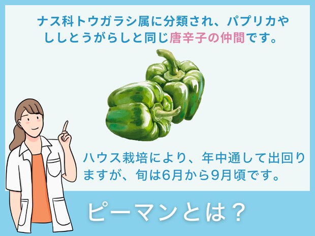 ピーマンとは？