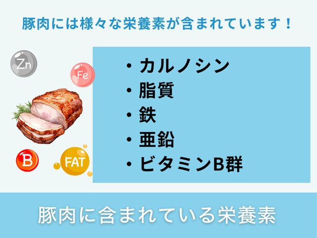 豚肉に含まれている栄養素