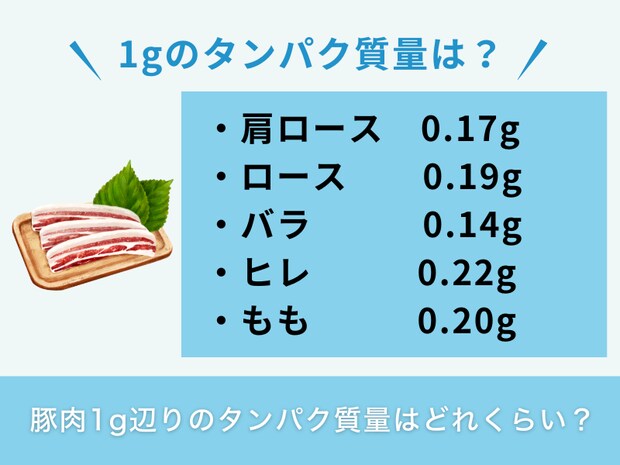 豚肉1g辺りのタンパク質量はどれくらい？