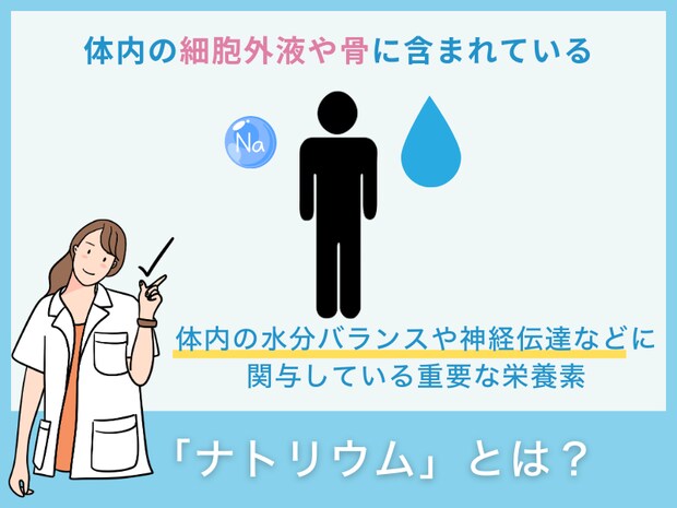 「ナトリウム」とは?