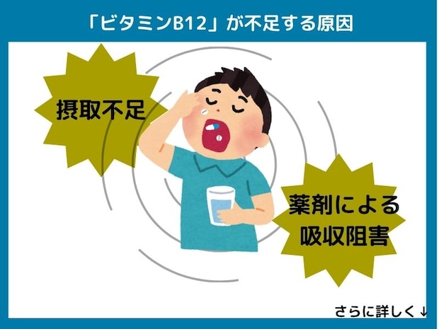 ビタミンB12が不足する原因