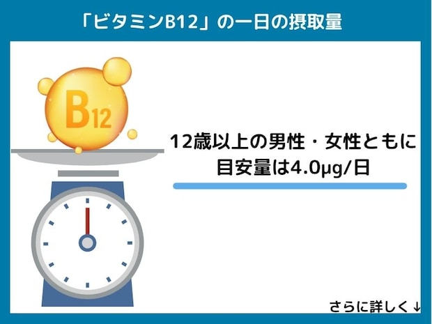 ビタミンB12の一日の摂取量