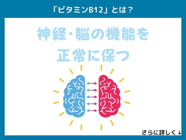 「ビタミンB12」とは?