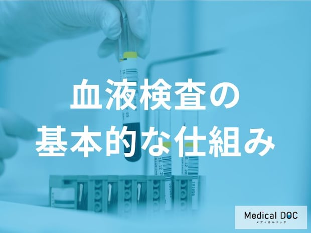 全身の健康状態がわかる「血液検査」の仕組みとは？受ける頻度や注意点を医師解説
