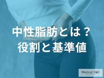 「中性脂肪」は体内でどんな役割を担っているかご存知ですか？【医師監修】