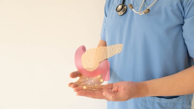 膵臓の働きを知る