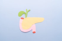 なぜ膵臓がんは「沈黙のがん」と呼ばれるのか 通常検査で見つかりにくい理由を医師が解説