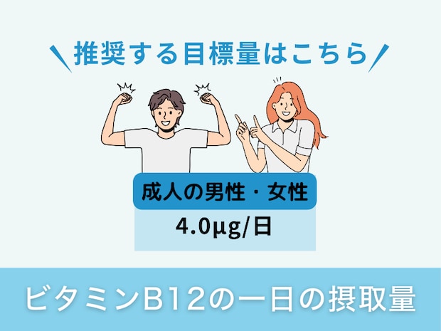 ビタミンB12の一日の摂取量