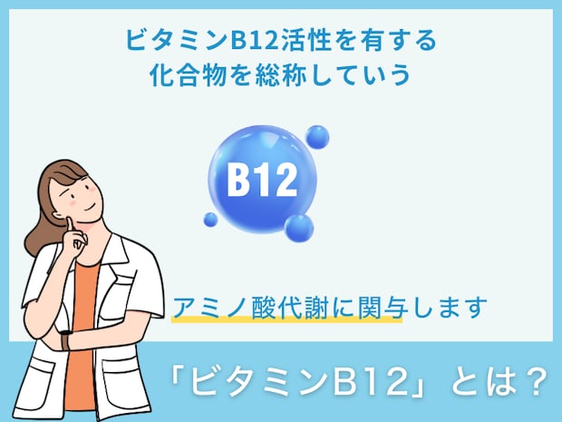 ビタミンB12とは?