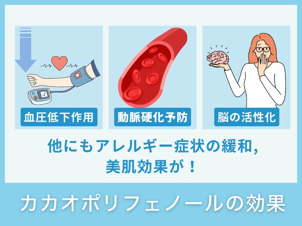 カカオポリフェノールの効果