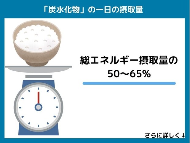 炭水化物の一日の摂取量