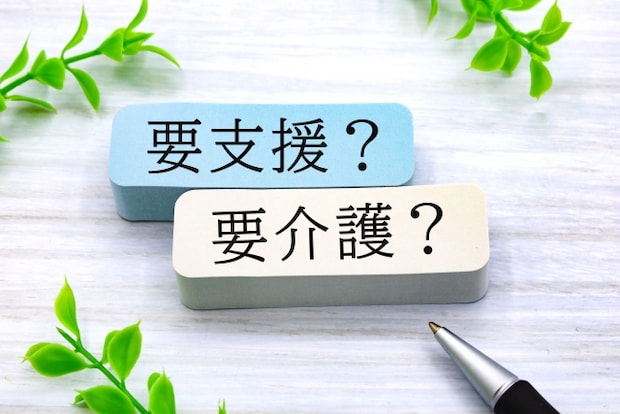 介護費用の自己負担割合の判定基準