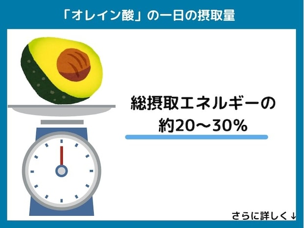 オレイン酸の一日の摂取量