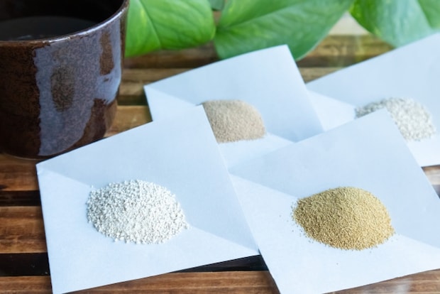 低血圧と漢方薬