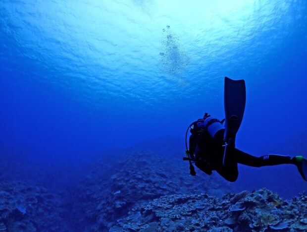 海底をダイブ