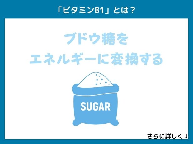 「ビタミンB1」とは?