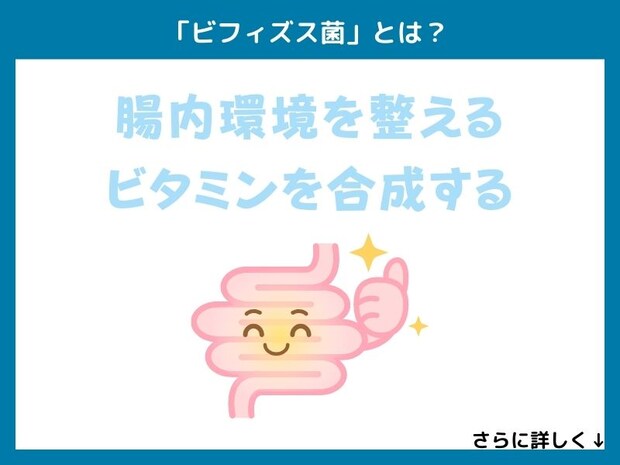 「ビフィズス菌」とは？