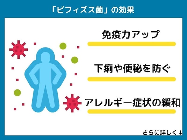 ビフィズス菌の効果