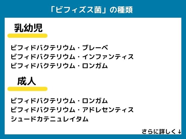 「ビフィズス菌」の種類