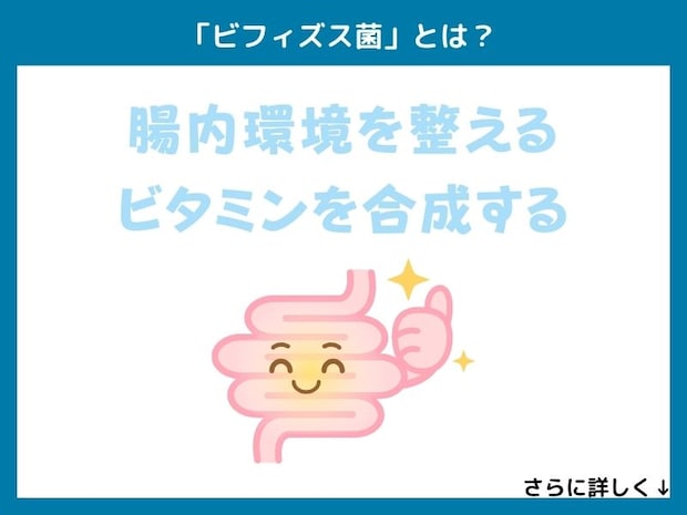 「ビフィズス菌」とは？