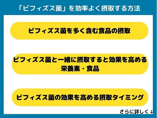ビフィズス菌を効率よく摂取する方法