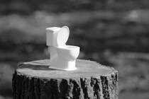 便に血が混じっていた…これってどんな疾患が考えられる？