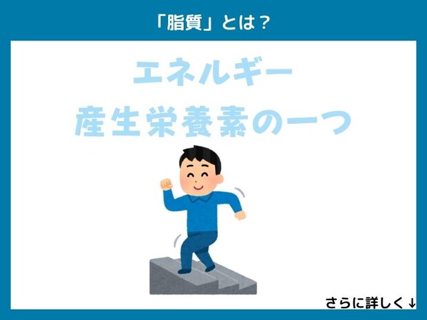「脂質」とは？