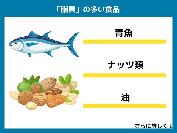 脂質の多い食品