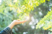 【闘病】手のむくみは｢全身性強皮症｣のサイン? 合併症や薬の副作用との闘い