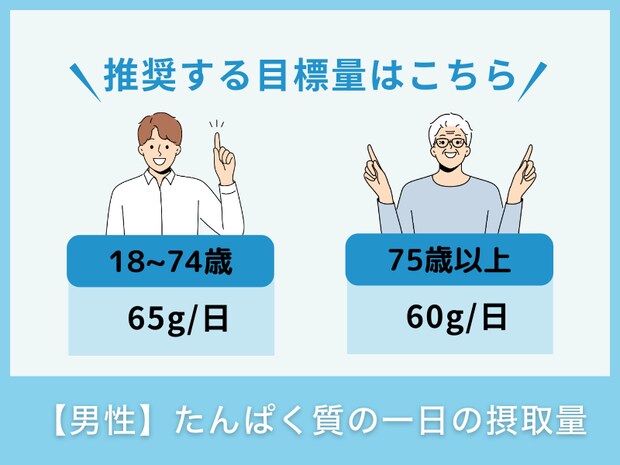 【男性】たんぱく質の一日の摂取量