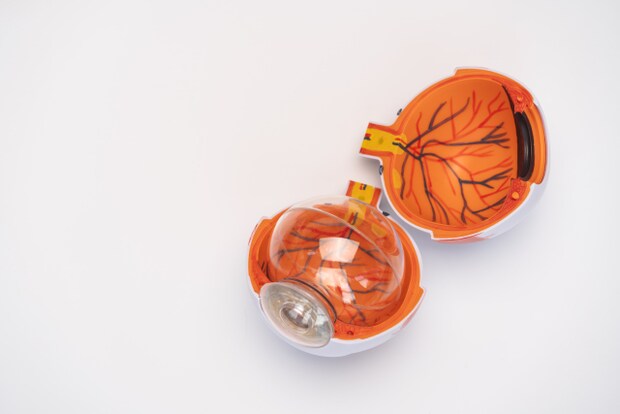 糖尿病網膜症の概要