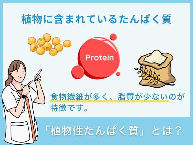 「植物性たんぱく質」とは？