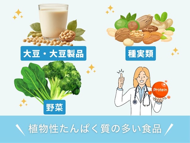 植物性たんぱく質の多い食品