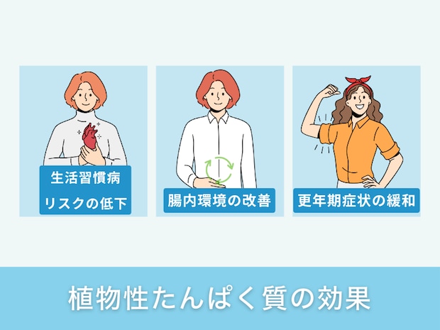 植物性たんぱく質の効果