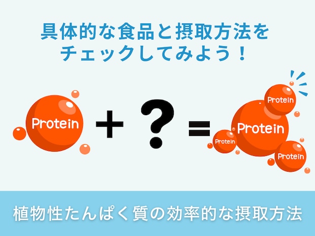 植物性たんぱく質の効率的な摂取方法