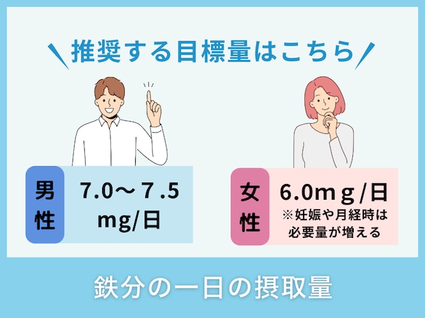 鉄分の一日の摂取量