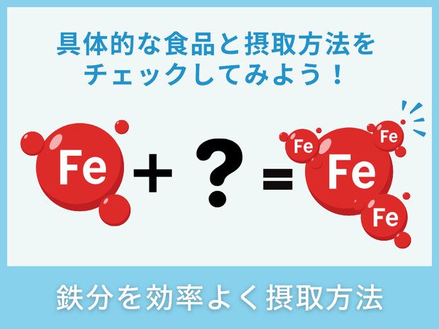 鉄分の効率的な摂取方法