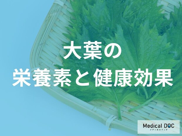 「大葉」はレタスより栄養が”濃い”？健康効果を高める食べ方も管理栄養士が解説！