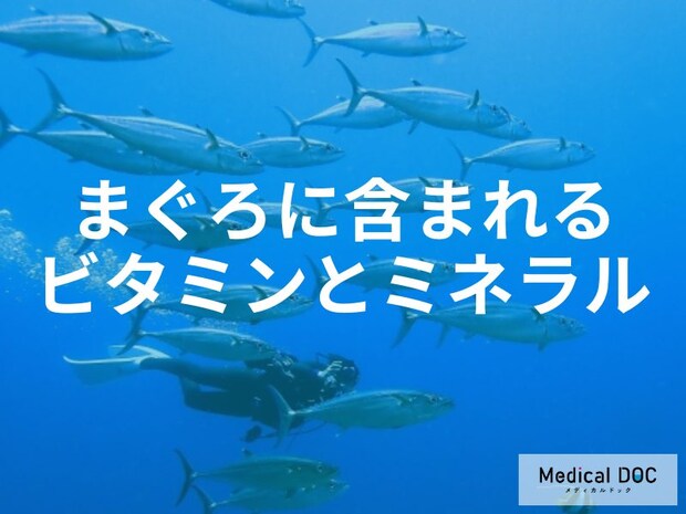 疲れや貧血は「〇〇不足」かも？まぐろのヘム鉄が効率よく吸収されるワケを解説