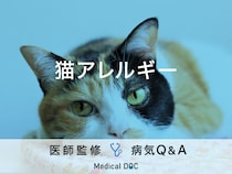 「猫アレルギー」の症状・飼っていて発症した場合の対処法はご存知ですか？