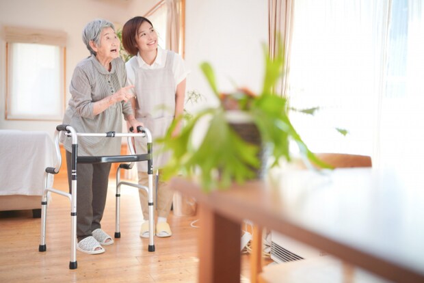 要介護認定により受けられる介護保険サービス