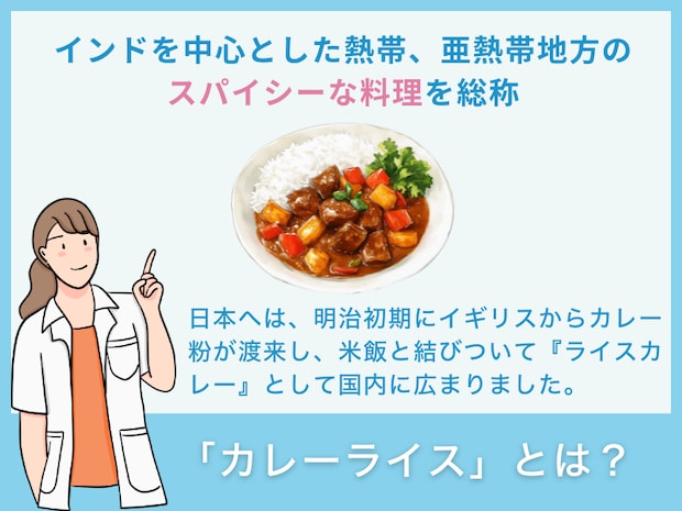 カレーライスとは？
