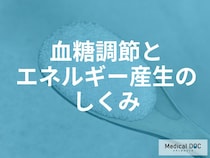 運動後の疲労回復に「ブドウ糖」が効く理由。筋肉のグリコーゲンを補う最適な摂取タイミング
