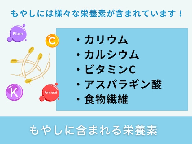 もやしに含まれる栄養素