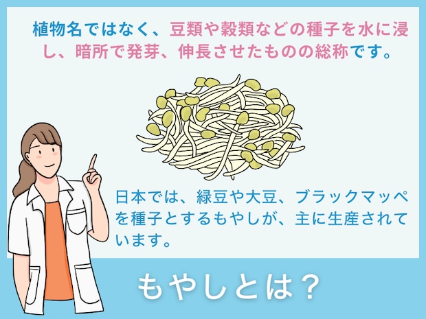 「もやし」とは？