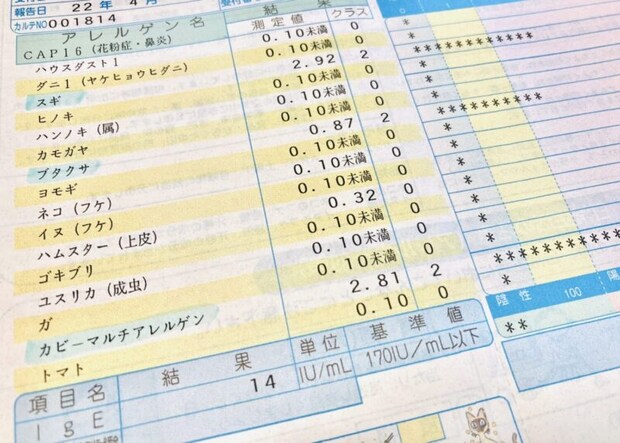 アレルギー検査の結果