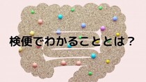 検便検査って何を調べているの？ 何の病気がわかるの？