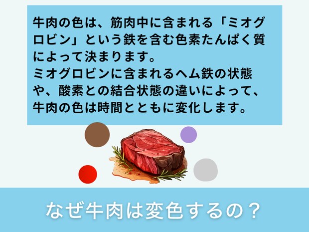 なぜ牛肉は変色するの？